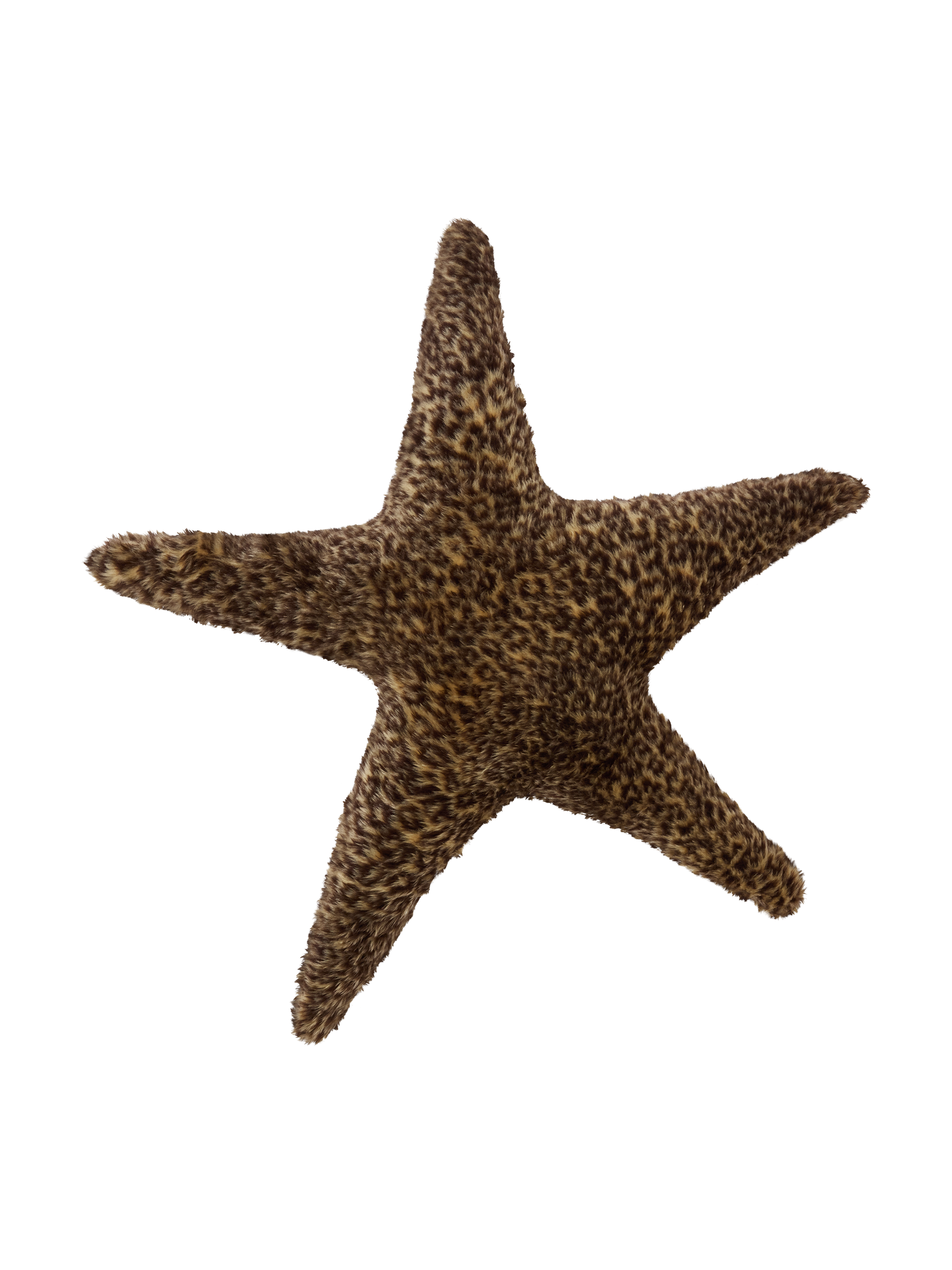 STAR FUCKER LEOPARD CUSHION