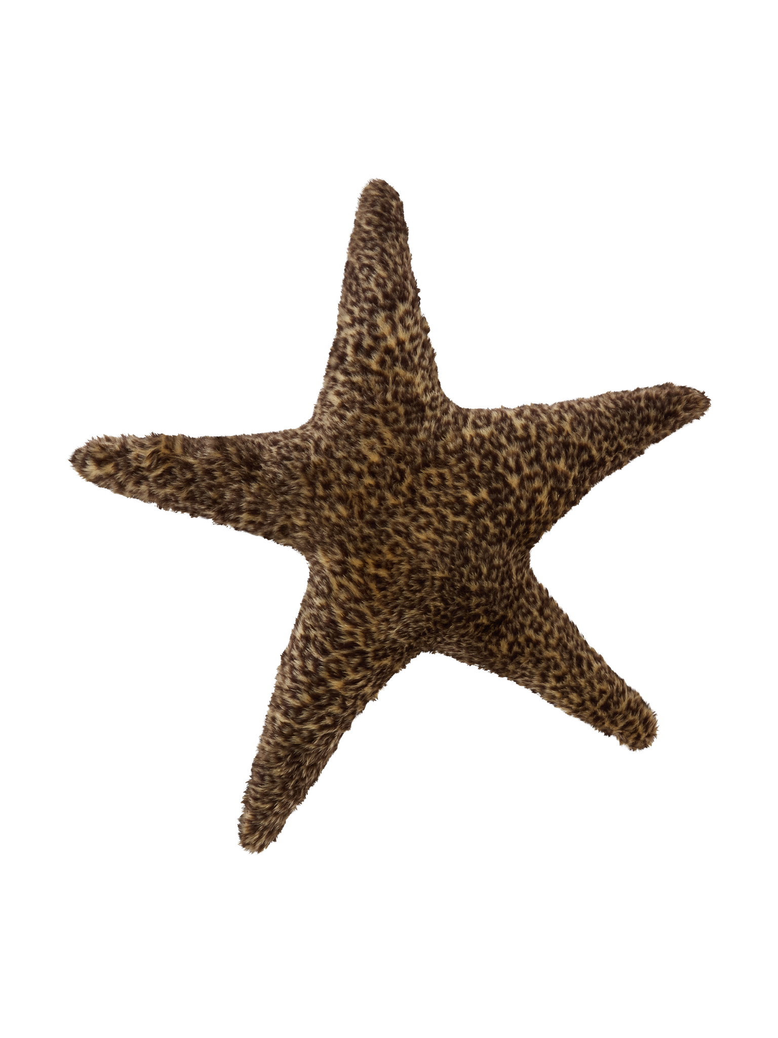 STAR FUCKER LEOPARD CUSHION